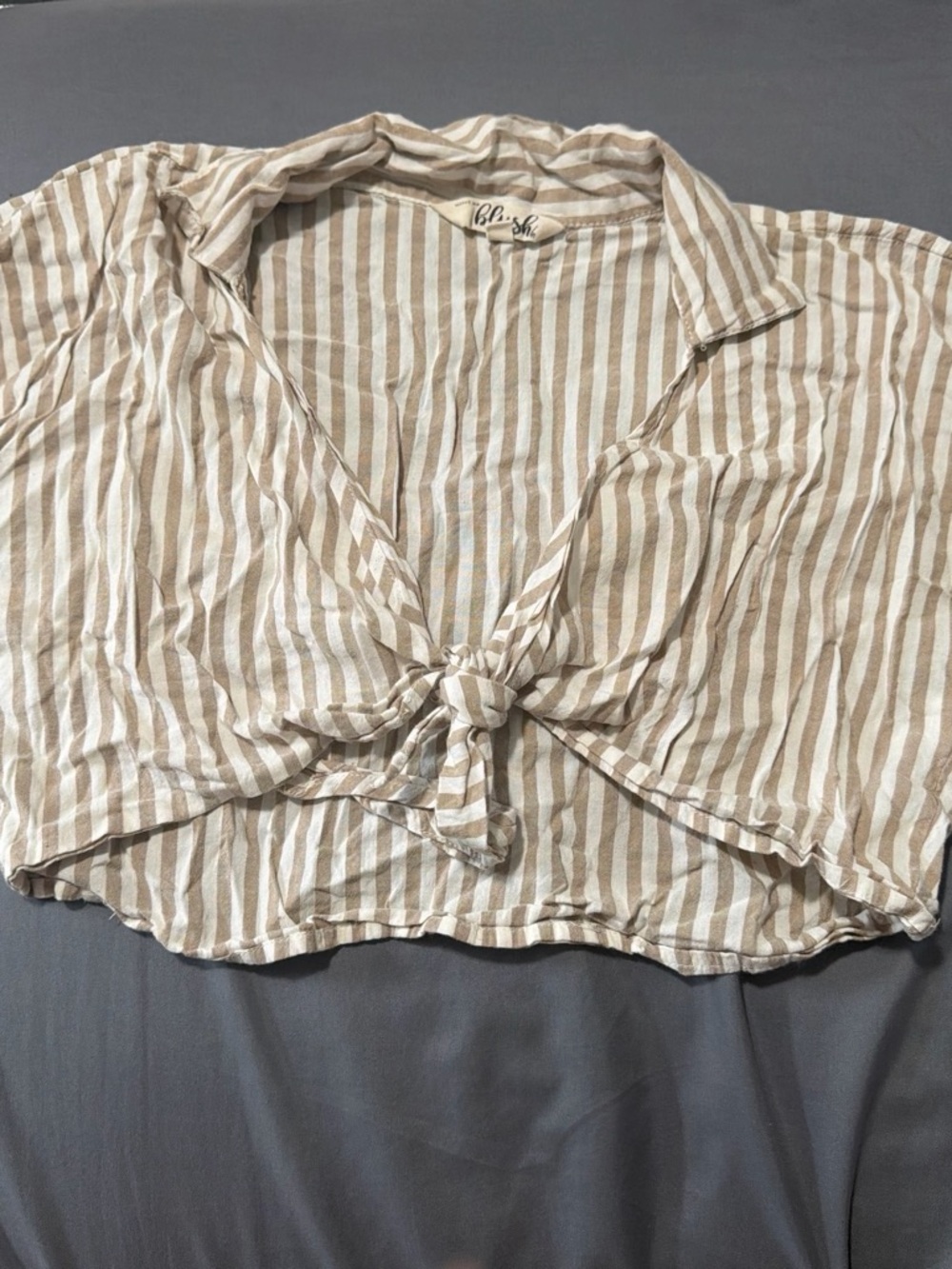 Blush Beige and White Striped Tie-Front Button Down